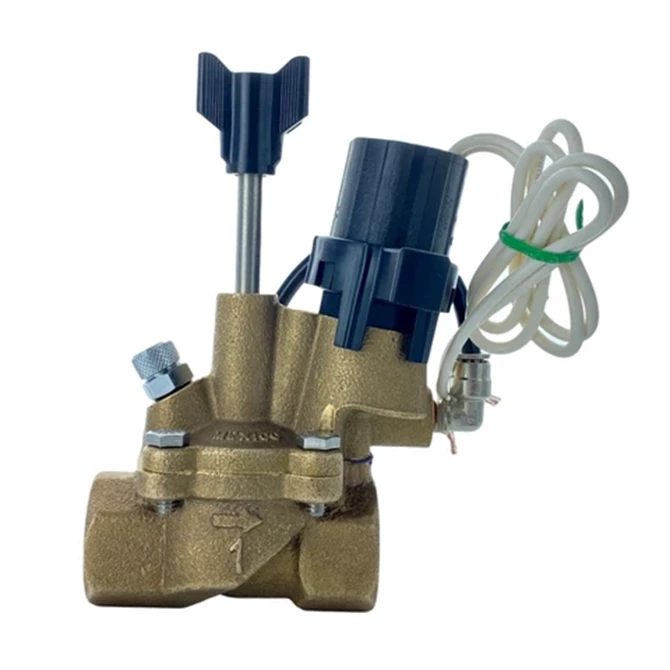 Rain Bird 100DV VALVE